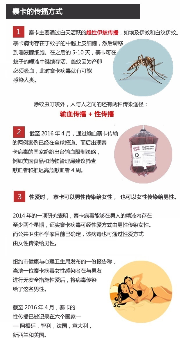 一张图看懂寨卡病毒的前世今生:终于有人说明白
