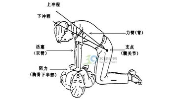 心肺复苏-急救技术