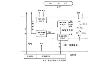 生物地球化学循环