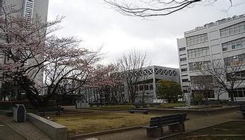 早稻田大学