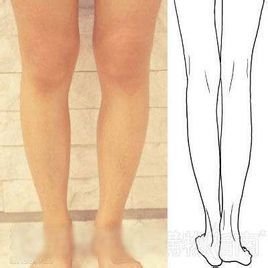 美腿的评判原则,涉及 腿长, 腿身比, 大腿围, 腿肚围, 大腿长, 小腿长