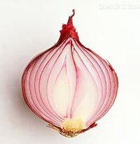 洋葱+春天 - jrzhok - jrzhok的博客 洋葱+春天 - jrzhok - jrzhok的博客