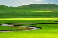 莫尔道嘎国家森林公园风景