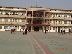 湖北黄冈市麻城市闵集中学2011年中考语文模拟试卷
