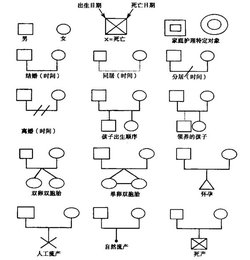 家庭结构