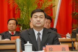 徐鑫著名画家