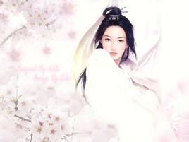 求《天价宝宝:总裁爹地,请负责!》和《惹上豪门