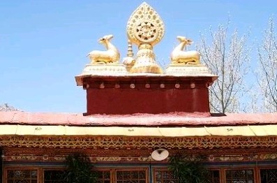 扎基寺林芝汽车租赁公司