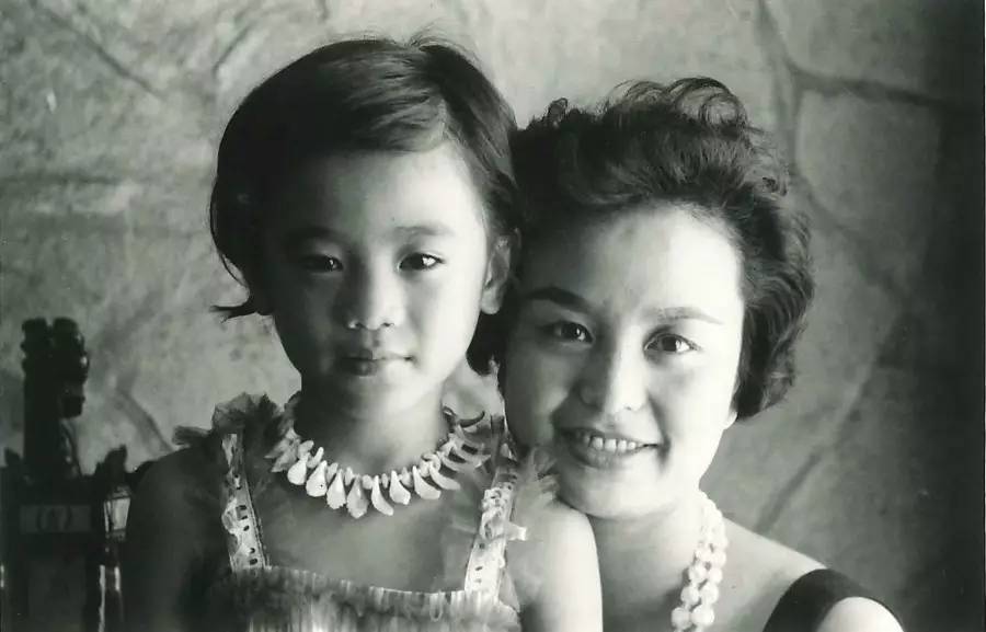 演员、导演、编剧、歌手、作家、主持人、影展