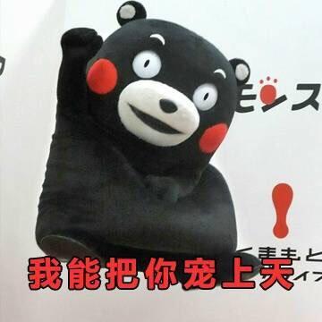【斗图必备】行走的表情包熊本熊