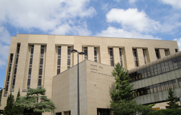 堪萨斯大学排名_堪萨斯大学(2)