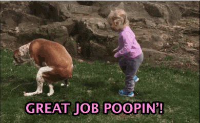 狗狗刚回家乱拉屎撒尿?兽医来教你如何解决