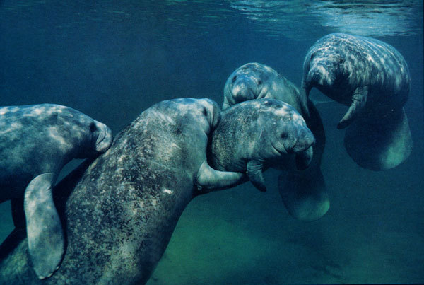 海牛接线板线路图