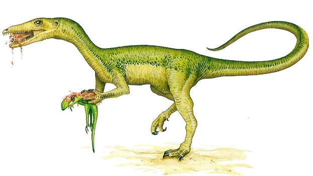 欧妞龙plc实物接线图